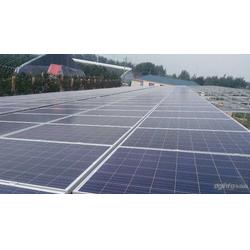 金鼎盛世 以服務至上的理念，引領太陽能發電行業新篇章